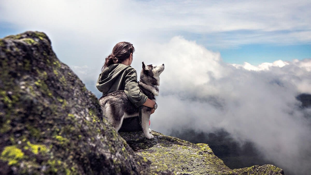 Reencarnação Animal: Será Que Seu Cachorro Pode Voltar em Outra Vida?