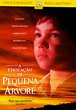 A educação de pequena árvore