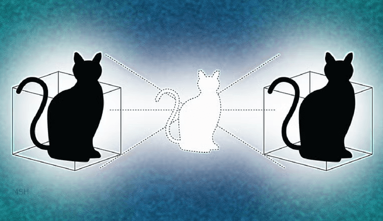 Gato de Schrödinger e física quântica